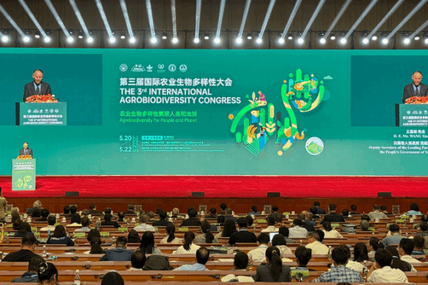 Global Experts Rally in SW China to Boost Agrobiodiversity Efforts Global_Experts_Rally_in_SW_China_to_Boost_Agrobiodiversity_Efforts
