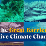 Great_Barrier_Reef_Faces_Climate_Crisis__Can_It_Recover_ video poster