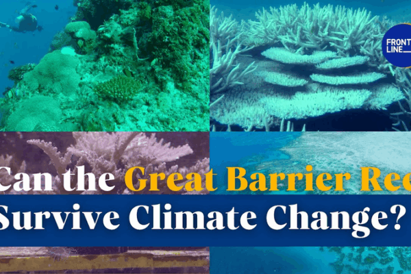 Great Barrier Reef Faces Climate Crisis: Can It Recover? Great_Barrier_Reef_Faces_Climate_Crisis__Can_It_Recover_ video poster
