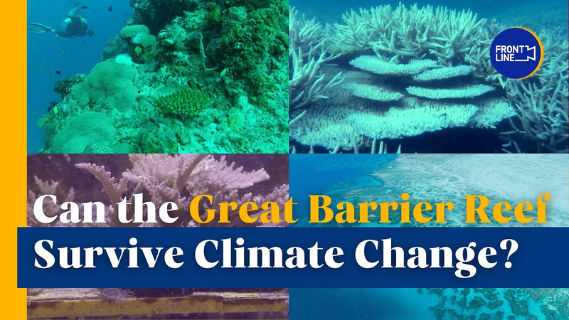 Great_Barrier_Reef_Faces_Climate_Crisis__Can_It_Recover_ video poster