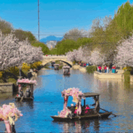 Green_is_Gold__China_s_Clean_Air_Milestones_Reshape_Urban_Future - Khabar Asia Green_is_Gold__China_s_Clean_Air_Milestones_Reshape_Urban_Future