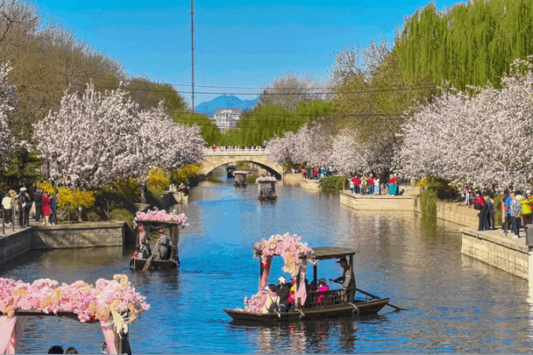 Green is Gold: China’s Clean Air Milestones Reshape Urban Future Green_is_Gold__China_s_Clean_Air_Milestones_Reshape_Urban_Future