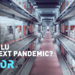 H5N1_Bird_Flu_Spreads_Globally__Pandemic_Risk_Assessed video poster