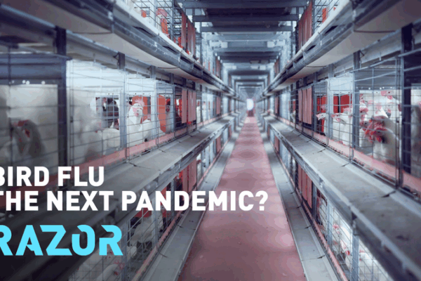 H5N1 Bird Flu Spreads Globally: Pandemic Risk Assessed H5N1_Bird_Flu_Spreads_Globally__Pandemic_Risk_Assessed video poster