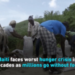 Haiti_s_Hunger_Crisis_Reaches_Critical_Levels_Amid_Global_Observance_poster - Khabar Asia Haiti_s_Hunger_Crisis_Reaches_Critical_Levels_Amid_Global_Observance video poster