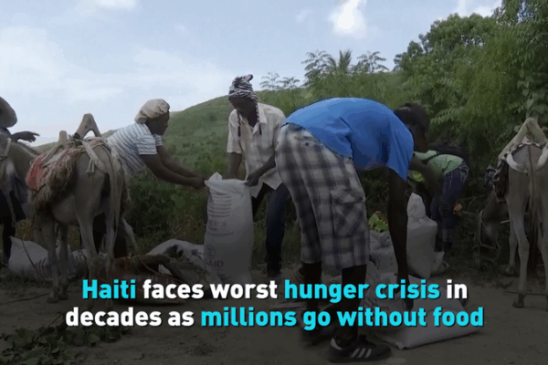 Haiti’s Hunger Crisis Reaches Critical Levels Amid Global Observance Haiti_s_Hunger_Crisis_Reaches_Critical_Levels_Amid_Global_Observance video poster