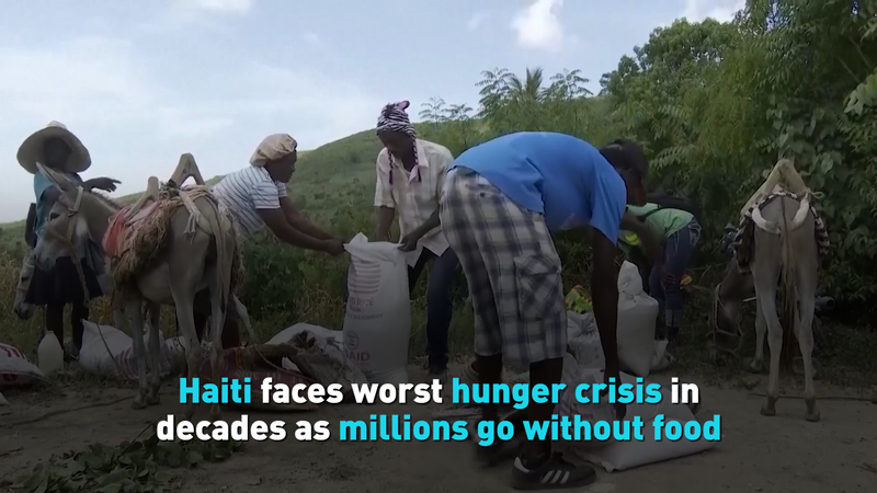 Haiti_s_Hunger_Crisis_Reaches_Critical_Levels_Amid_Global_Observance video poster