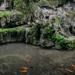 Hangzhou_s_Feilai_Peak__Where_Nature_and_Ancient_Art_Converge - Khabar Asia Hangzhou_s_Feilai_Peak__Where_Nature_and_Ancient_Art_Converge