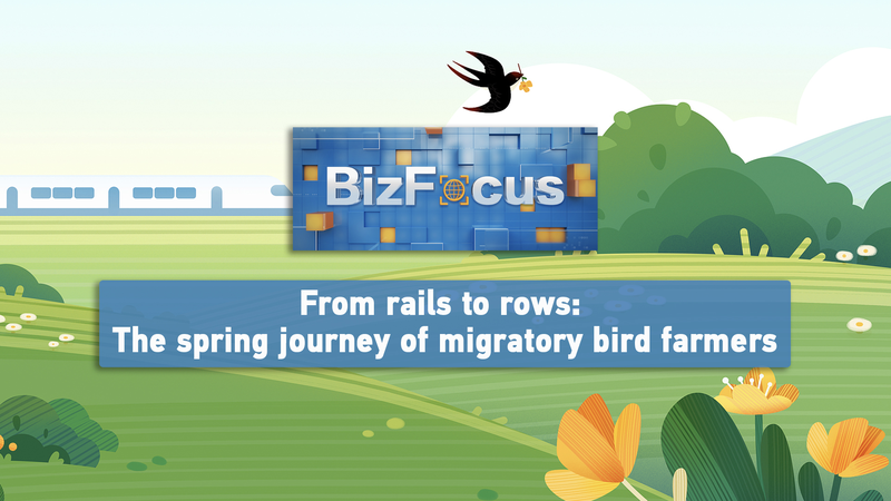 Heilongjiang Farmers’ Spring Migration Fuels China’s Rice Bowl Heilongjiang_Farmers__Spring_Migration_Fuels_China_s_Rice_Bowl video poster