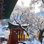 Hengshan_Mountain_Transforms_into_Winter_Wonderland_with_Rime_Spectacle_poster - Khabar Asia Hengshan_Mountain_Transforms_into_Winter_Wonderland_with_Rime_Spectacle video poster