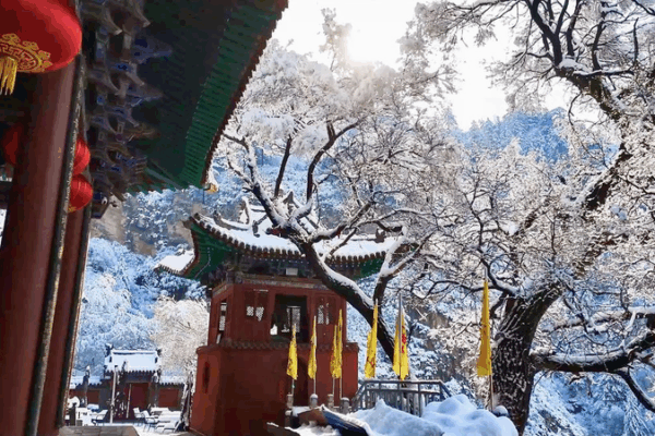 Hengshan Mountain Transforms into Winter Wonderland with Rime Spectacle Hengshan_Mountain_Transforms_into_Winter_Wonderland_with_Rime_Spectacle video poster