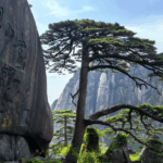 Huangshan_s_Natural_Wonders_Drive_Record_Tourism_Surge_in_East_China - Khabar Asia Huangshan_s_Natural_Wonders_Drive_Record_Tourism_Surge_in_East_China