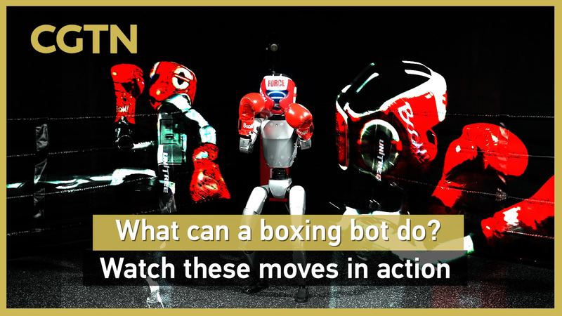 Humanoid_Boxing_Bots_Showcase_Advanced_Skills_in_Historic_Hangzhou_Match video poster