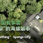 JDS10BK665HFARBT9P1Z - Khabar Asia Chongqing’s Sponge City Initiative Redefines Urban Sustainability video poster