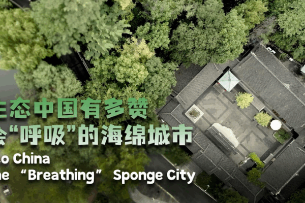 Chongqing’s Sponge City Initiative Redefines Urban Sustainability Chongqing’s Sponge City Initiative Redefines Urban Sustainability video poster