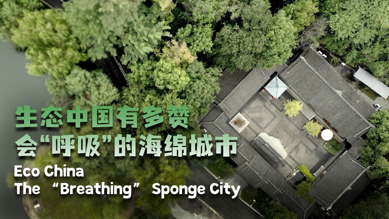 JDS10BK665HFARBT9P1Z - Khabar Asia Chongqing’s Sponge City Initiative Redefines Urban Sustainability video poster