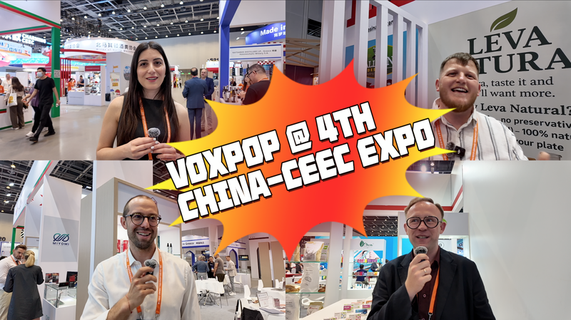 Local Secrets: Central & Eastern Europe Travel Tips Revealed at China-CEEC Expo Local_Secrets__Central___Eastern_Europe_Travel_Tips_Revealed_at_China_CEEC_Expo video poster