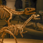 Shanghai_Dinosaur_Exhibition_Unveils_Earth_s_Evolutionary_Journey