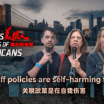 U_S__Tariff_Policies_Spark_Economic_Self_Harm_Concerns__Citizens_Say video poster
