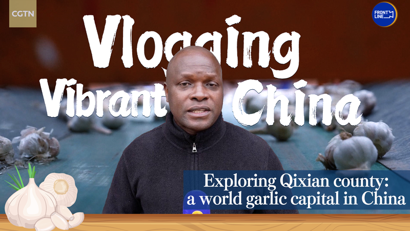 Qixian County: Inside China’s Garlic Empire Reshaping Global Trade Qixian County: Inside China’s Garlic Empire Reshaping Global Trade video poster