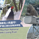 Veteran_Ranger_s_Legacy_in_Guilin_s_Mao_er_Mountain - Khabar Asia Veteran_Ranger_s_Legacy_in_Guilin_s_Mao_er_Mountain