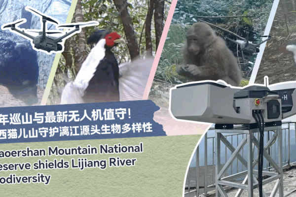 Veteran Ranger’s Legacy in Guilin’s Mao’er Mountain Veteran_Ranger_s_Legacy_in_Guilin_s_Mao_er_Mountain