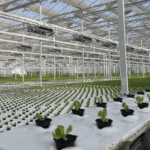 Xi_Hails_SCO_Forum_s_Role_in_Poverty_Relief__Sustainability