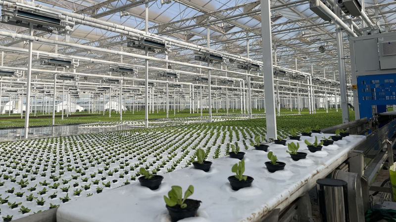 Xi_Hails_SCO_Forum_s_Role_in_Poverty_Relief__Sustainability - Khabar Asia Xi_Hails_SCO_Forum_s_Role_in_Poverty_Relief__Sustainability