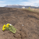 Yellowstone_Bus_Crash_Claims_Seven__Five_Chinese_Tourists_Among_Victims video poster
