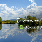 Yichun_Showcases_Biodiversity_Innovation_on_Global_Stage