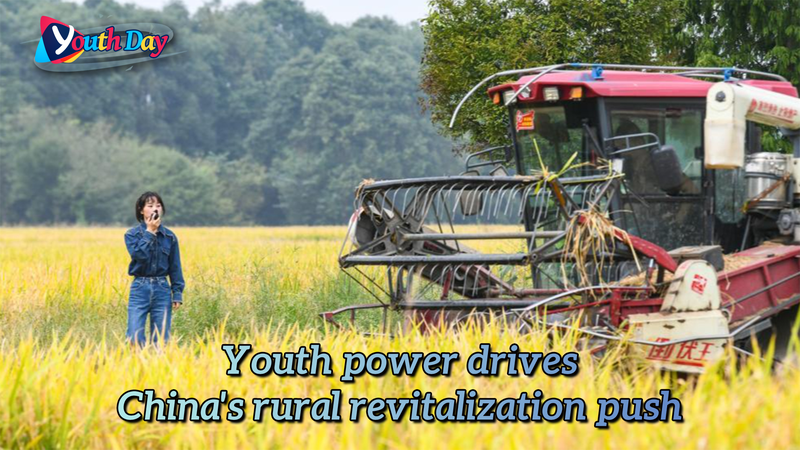 Youth Power Fuels China’s Rural Revitalization: Meet the ‘New Farmers’ Youth_Power_Fuels_China_s_Rural_Revitalization__Meet_the__New_Farmers_