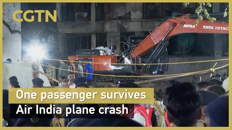 Air_India_Dreamliner_Crash_in_Ahmedabad_Leaves_265_Dead video poster