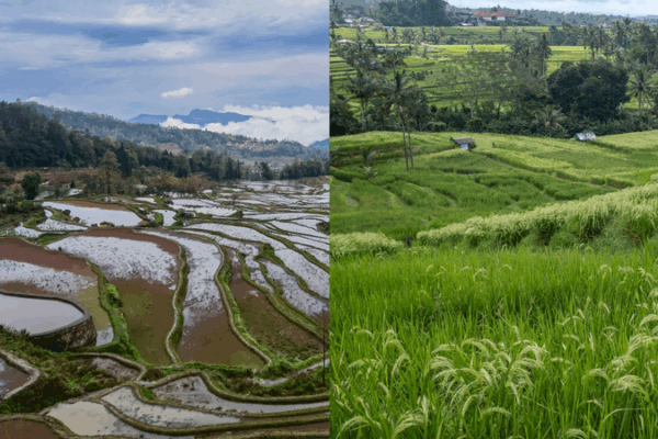 Ancient Irrigation Systems Boost Tourism in China and Indonesia Ancient_Irrigation_Systems_Boost_Tourism_in_China_and_Indonesia