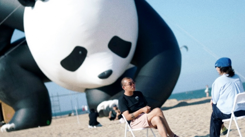 Aranya_Seaside_Art_Festival_Blends_Nature_and_Creativity video poster