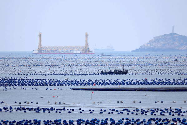 Blue Carbon Emerges as Key Climate Solution Ahead of 2025 World Oceans Day Blue_Carbon_Emerges_as_Key_Climate_Solution_Ahead_of_2025_World_Oceans_Day