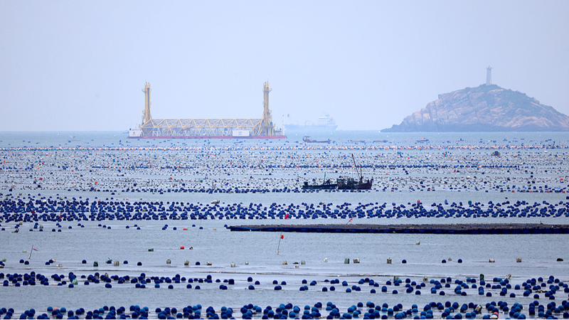 Blue_Carbon_Emerges_as_Key_Climate_Solution_Ahead_of_2025_World_Oceans_Day - Khabar Asia Blue_Carbon_Emerges_as_Key_Climate_Solution_Ahead_of_2025_World_Oceans_Day