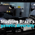Brazil_s_Genetic_Diversity_Unveiled_in_Landmark_Study video poster