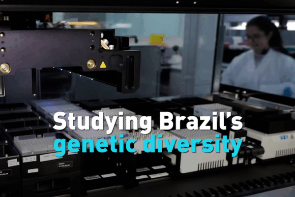 Brazil’s Genetic Diversity Unveiled in Landmark Study Brazil_s_Genetic_Diversity_Unveiled_in_Landmark_Study video poster