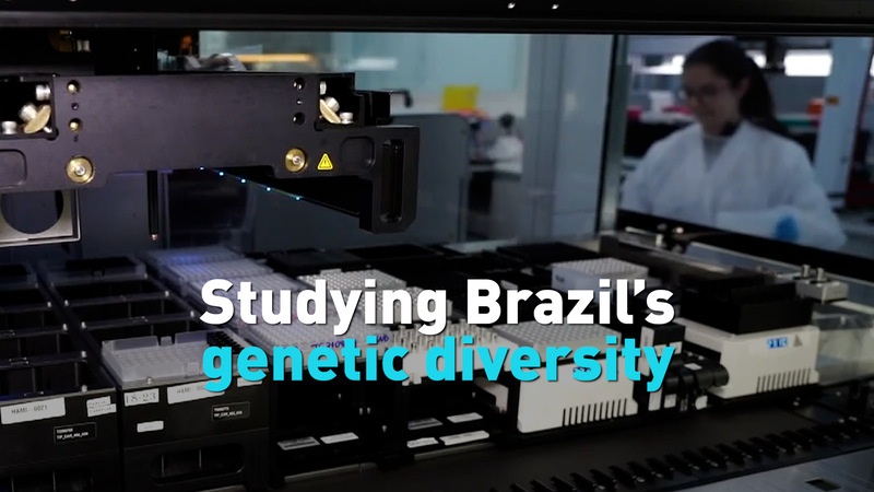 Brazil_s_Genetic_Diversity_Unveiled_in_Landmark_Study video poster