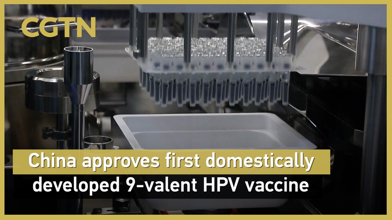 China Approves First Domestic 9-Valent HPV Vaccine China_Approves_First_Domestic_9_Valent_HPV_Vaccine video poster