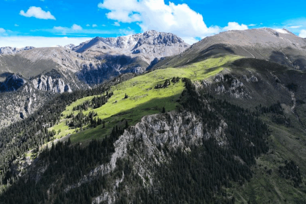 China Emerges as Global Leader in Green Transition and Environmental Governance China_Emerges_as_Global_Leader_in_Green_Transition_and_Environmental_Governance