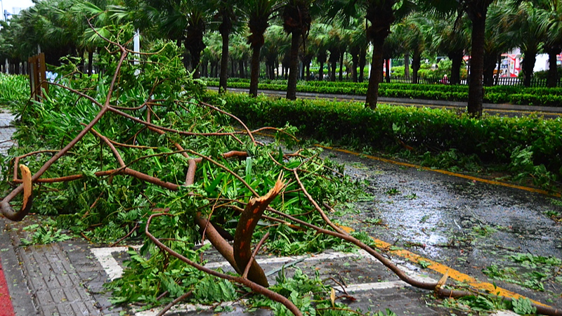 China Escalates Typhoon Wutip Response as Southern Regions Brace for Impact China_Escalates_Typhoon_Wutip_Response_as_Southern_Regions_Brace_for_Impact