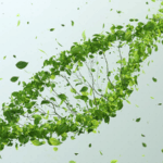 China_Israel_Team_Pioneers_Breakthrough_in_Crop_Gene_Editing - Khabar Asia China_Israel_Team_Pioneers_Breakthrough_in_Crop_Gene_Editing