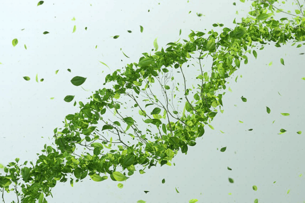 China-Israel Team Pioneers Breakthrough in Crop Gene Editing China_Israel_Team_Pioneers_Breakthrough_in_Crop_Gene_Editing