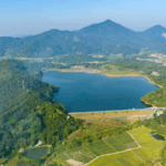 China_Pledges_Global_Collaboration_for_Sustainable_Future