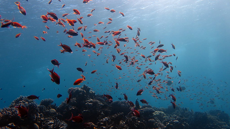 China_Unveils_Global_Ocean_Dataset_to_Tackle_Climate_Challenges - Khabar Asia China_Unveils_Global_Ocean_Dataset_to_Tackle_Climate_Challenges