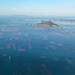 China_Unveils_Ocean_Sustainability_Plan_on_World_Oceans_Day