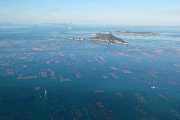 China Unveils Ocean Sustainability Plan on World Oceans Day China_Unveils_Ocean_Sustainability_Plan_on_World_Oceans_Day