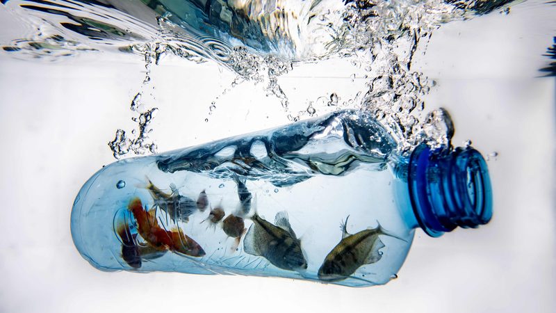 China and Africa Unite Against Plastic Pollution on World Environment Day China_and_Africa_Unite_Against_Plastic_Pollution_on_World_Environment_Day