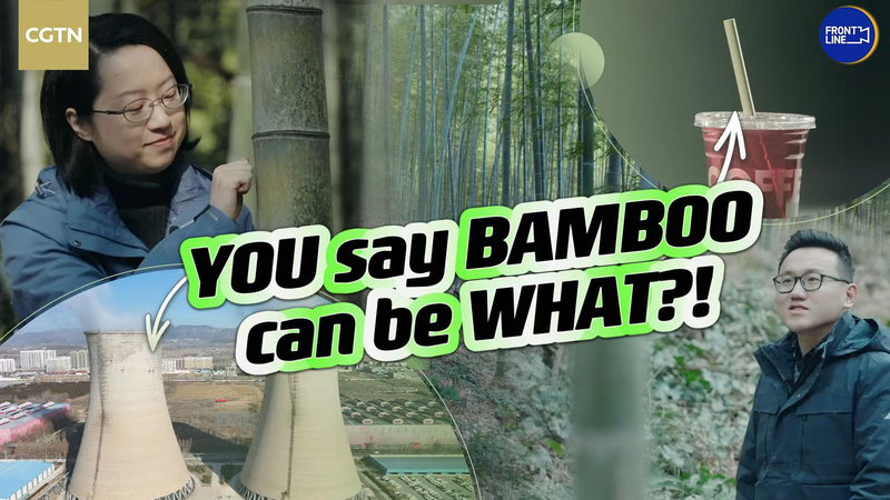 China’s Bamboo Revolution: A Sustainable Answer to Plastic Pollution China_s_Bamboo_Revolution__A_Sustainable_Answer_to_Plastic_Pollution video poster